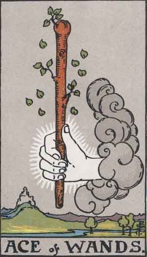 Ace of Wands tarot card